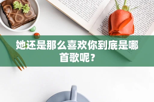 她还是那么喜欢你到底是哪首歌呢？