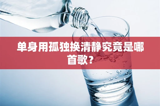 单身用孤独换清静究竟是哪首歌？