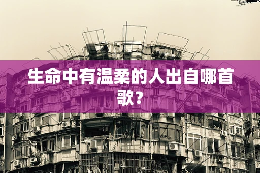 生命中有温柔的人出自哪首歌？