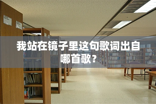 我站在镜子里这句歌词出自哪首歌？