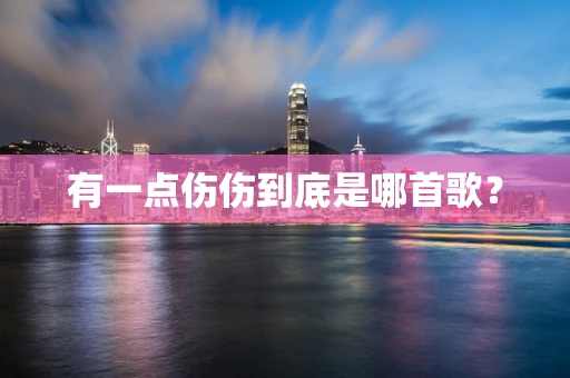 有一点伤伤到底是哪首歌？