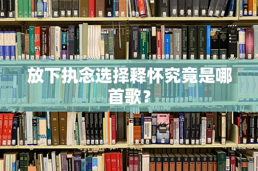 放下执念选择释怀究竟是哪首歌？