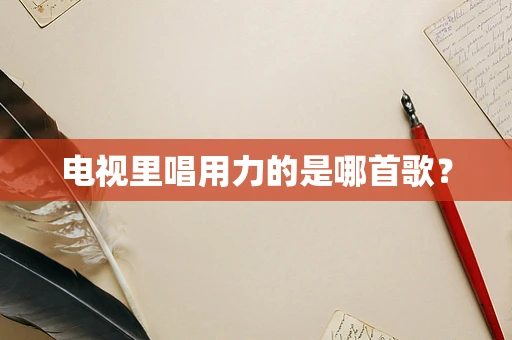 电视里唱用力的是哪首歌？