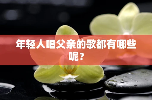 年轻人唱父亲的歌都有哪些呢？