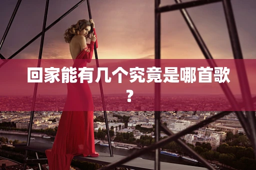 回家能有几个究竟是哪首歌？