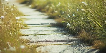 步天歌节奏为什么这么慢？