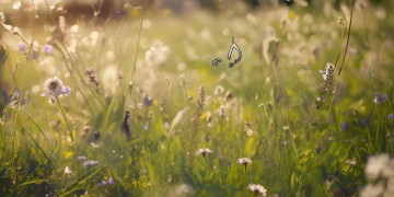 这美好的巧合究竟是哪首歌？