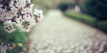 今年错过明年再来究竟是哪首歌？