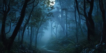 夜晚悄悄降临是哪首歌？