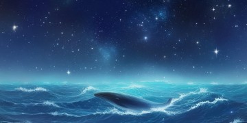你是星河里的鲸出自哪首歌？