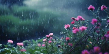 只有下雨才是晴天究竟是哪首歌？