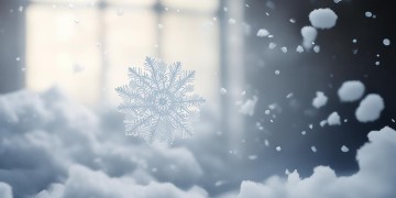 小白雪最感人的歌究竟是哪首？