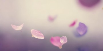 所有幸福都要珍惜究竟是哪一首歌？