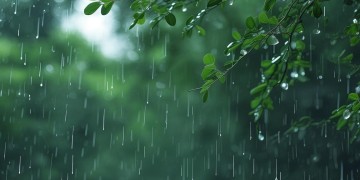 飞呀飞呀雨飘飘究竟是哪首歌？