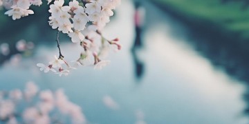爱情是很美的情话究竟是哪首歌？