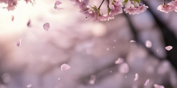 张宇那首心开头的歌是什么？