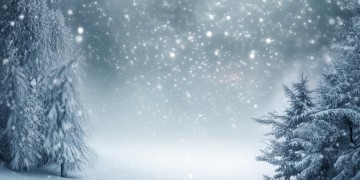 半生雪这句歌词出自哪首歌呢？