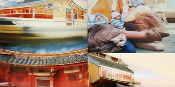 这世间皆留恋究竟出自哪首歌？