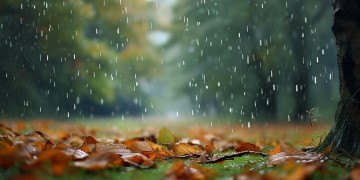 那年秋天下过的雨出自哪首歌？