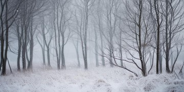 冬天没有雪只有风究竟是什么歌？
