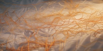 人情太过拥挤出自哪首歌？