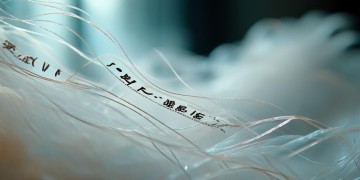 想放弃就是不够爱出自哪首歌？
