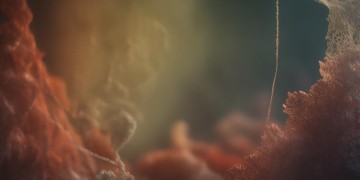 这次换我说对不起出自哪首歌？