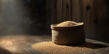 一袋米要抗几楼到底是什么歌？