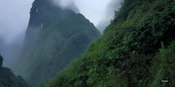 崂山上有毒蛇出自哪首歌？