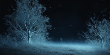 在黑夜中自愈到底是哪首歌？