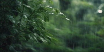 现在播放雨声究竟是哪首歌？
