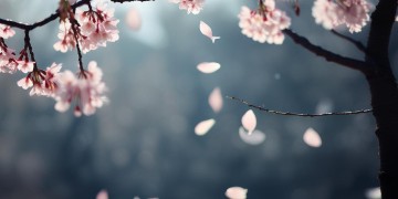 没有爱能重来这句歌词出自哪首歌？