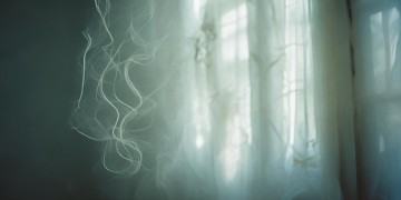有多久没见了出自哪首歌？
