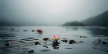 哪些歌曲能代表心要凉凉的感觉？