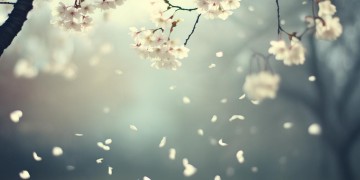 开了没爱过没哭过究竟是哪首歌？
