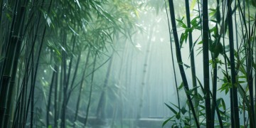 那首经典粤语歌究竟叫什么名字？