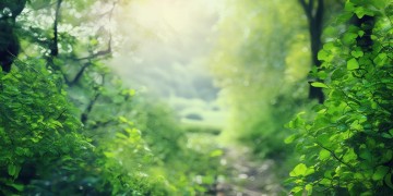 不让你回头这句歌词出自哪首歌？