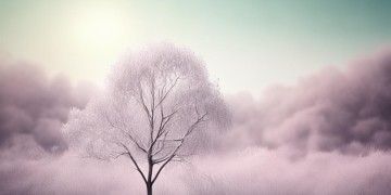 王者版的孤芳自赏究竟是哪首歌？