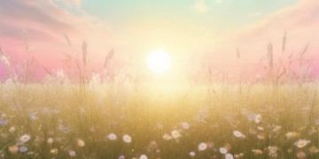 我的太阳究竟是什么曲子的歌？