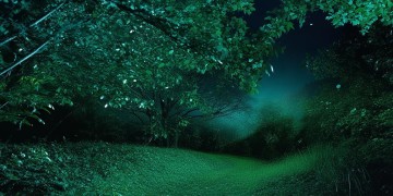 哎呀半夜睡不着到底是哪首歌？