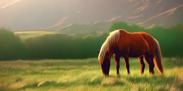 我有一匹马是哪首歌？