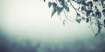如今的我有点心凉究竟是哪首歌？