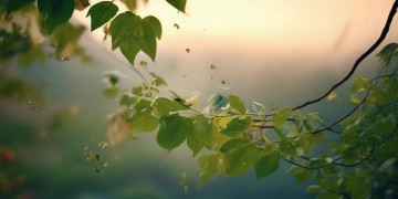 五年最大的收获究竟是哪首歌？