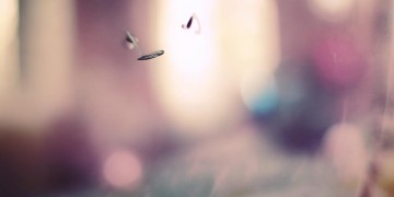 情不自禁还是想你这句歌词出自哪首歌？