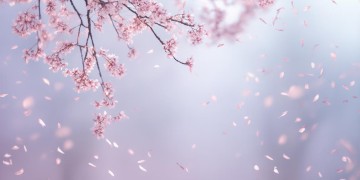 什么虽然什么却什么是哪首歌？