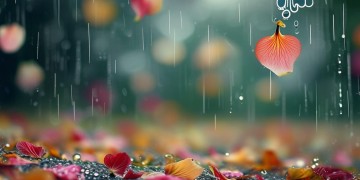 下雨时飘落的花瓣出自哪首歌？