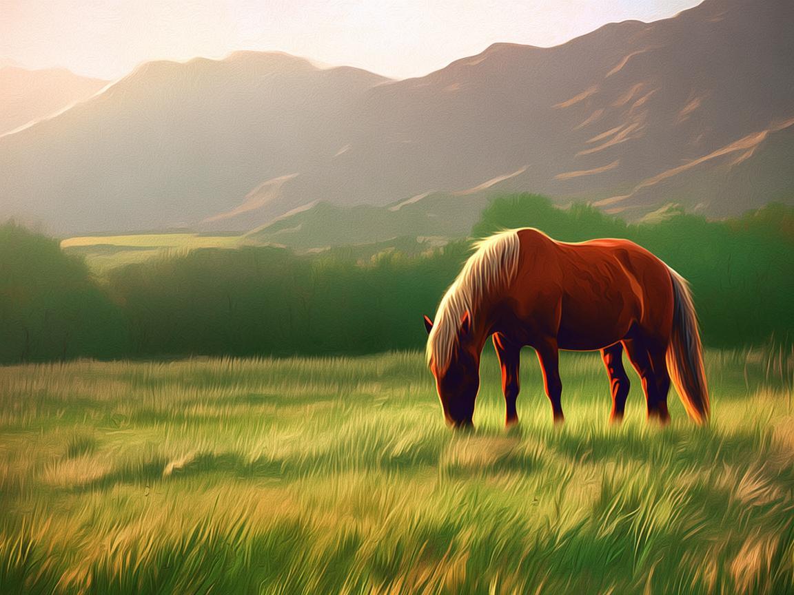 我有一匹马是哪首歌？