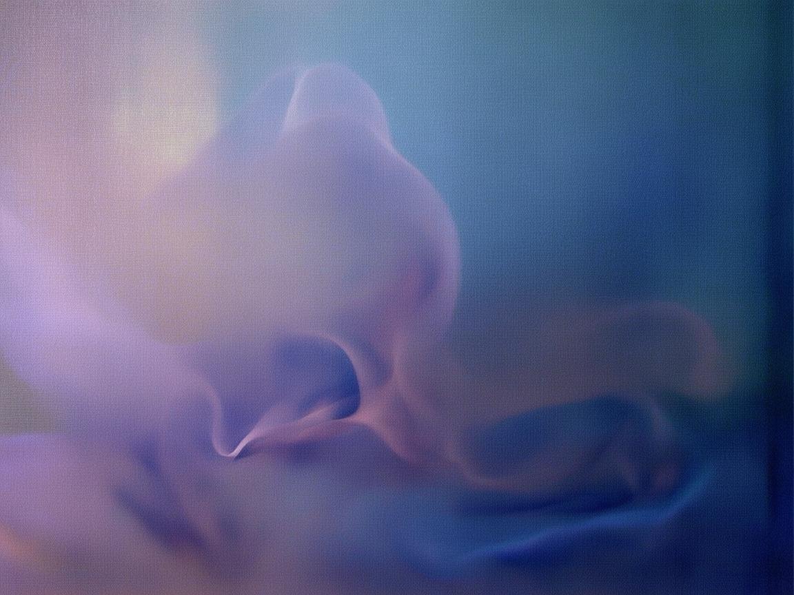 放弃我的声音到底是哪首歌? 放弃我的声音到底是哪首歌?