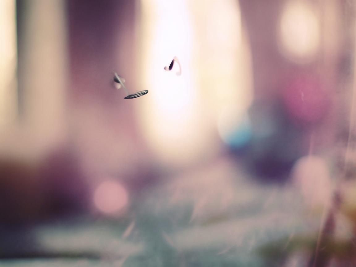 情不自禁还是想你这句歌词出自哪首歌？